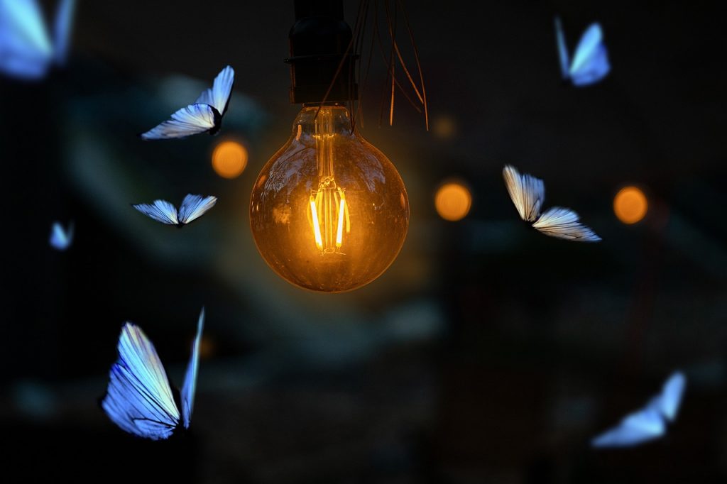 buttlefly, light, blue-4827574.jpg